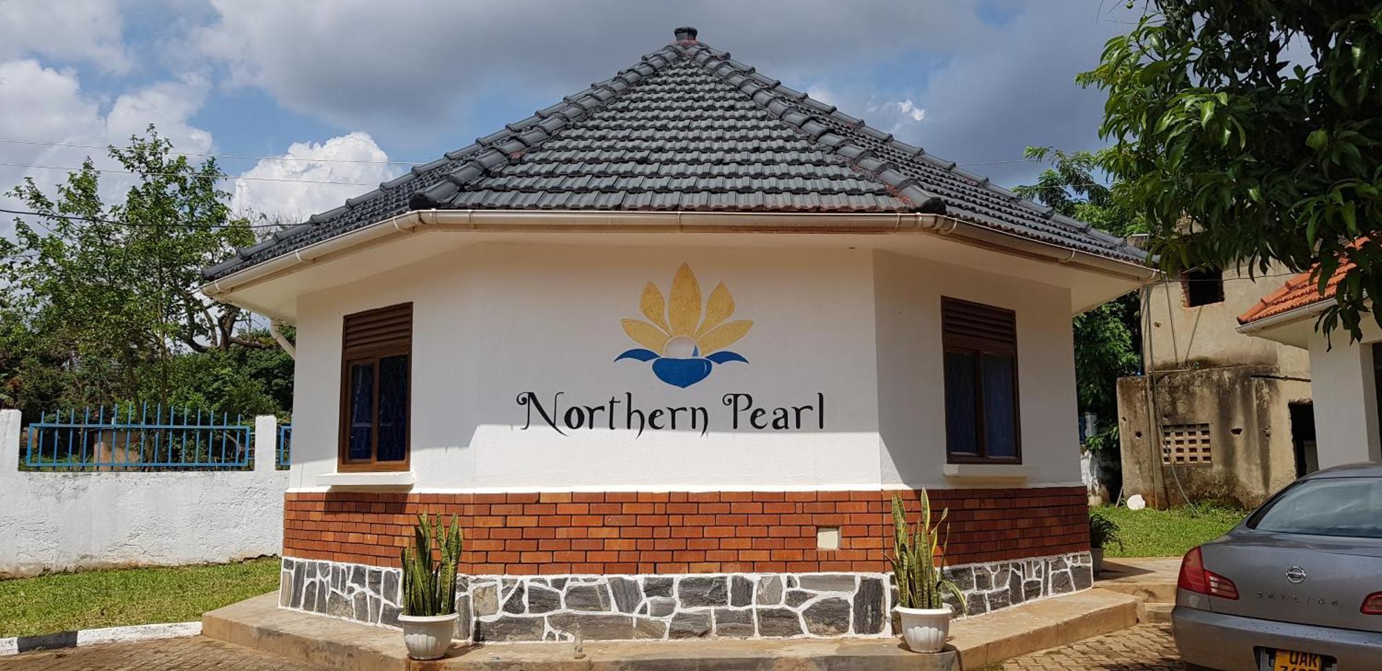 Northern Pearl Gulu Kültér fotó